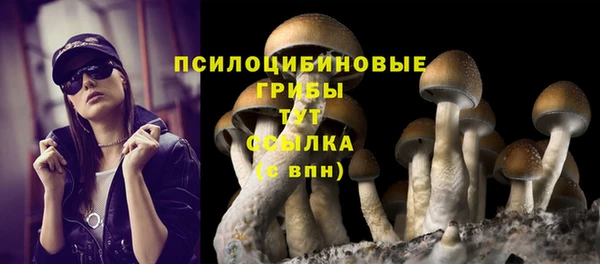 первитин Алексеевка