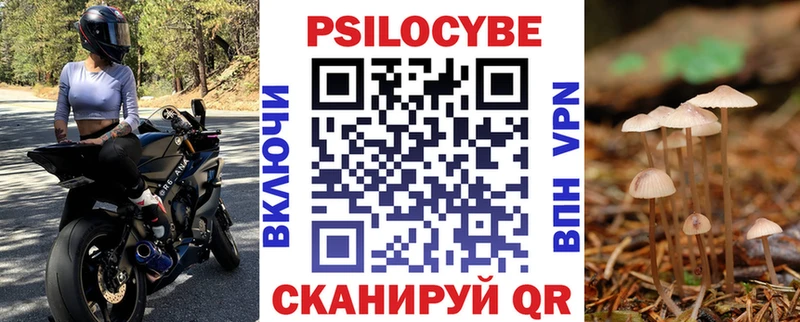 Галлюциногенные грибы Psilocybe Орлов